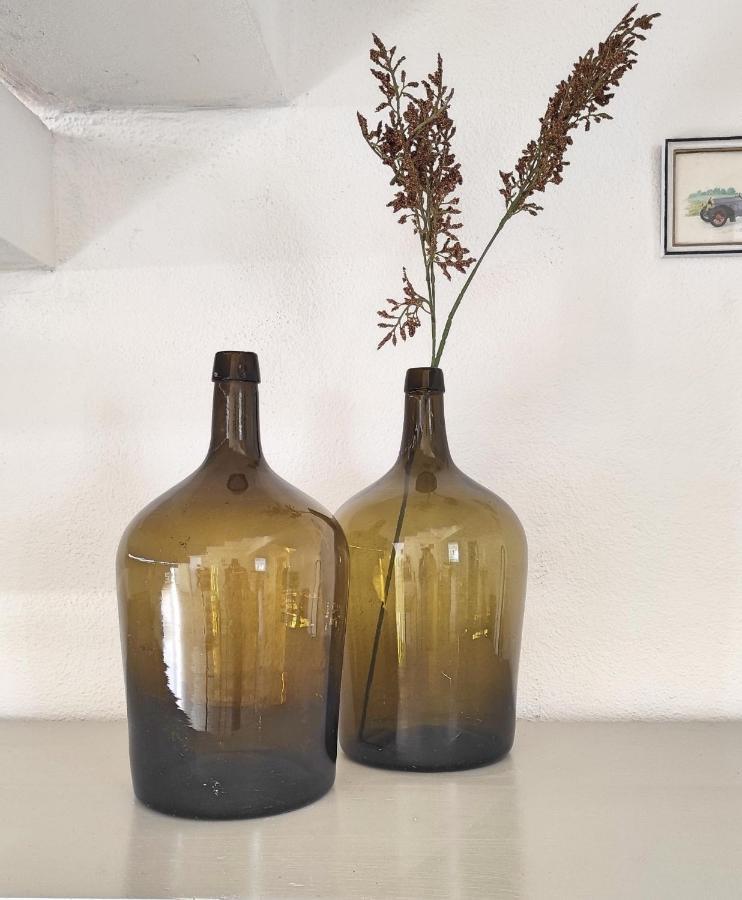 Villa D'Uvale Douro Alijó Εξωτερικό φωτογραφία